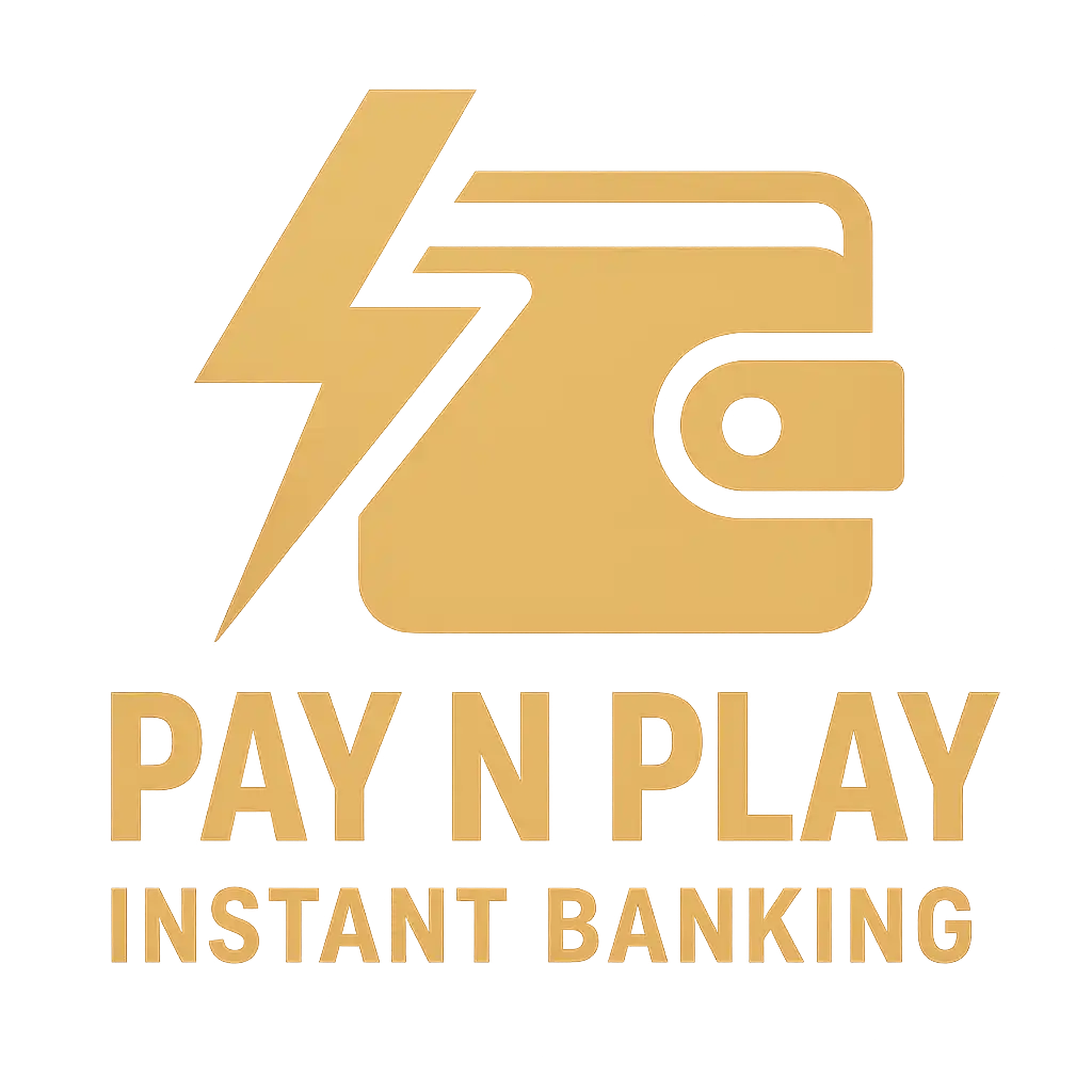 Pay n Play icon