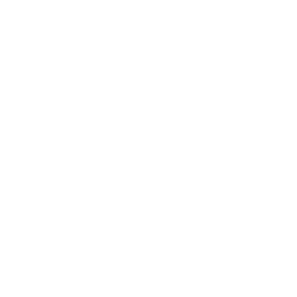 Skrill icon
